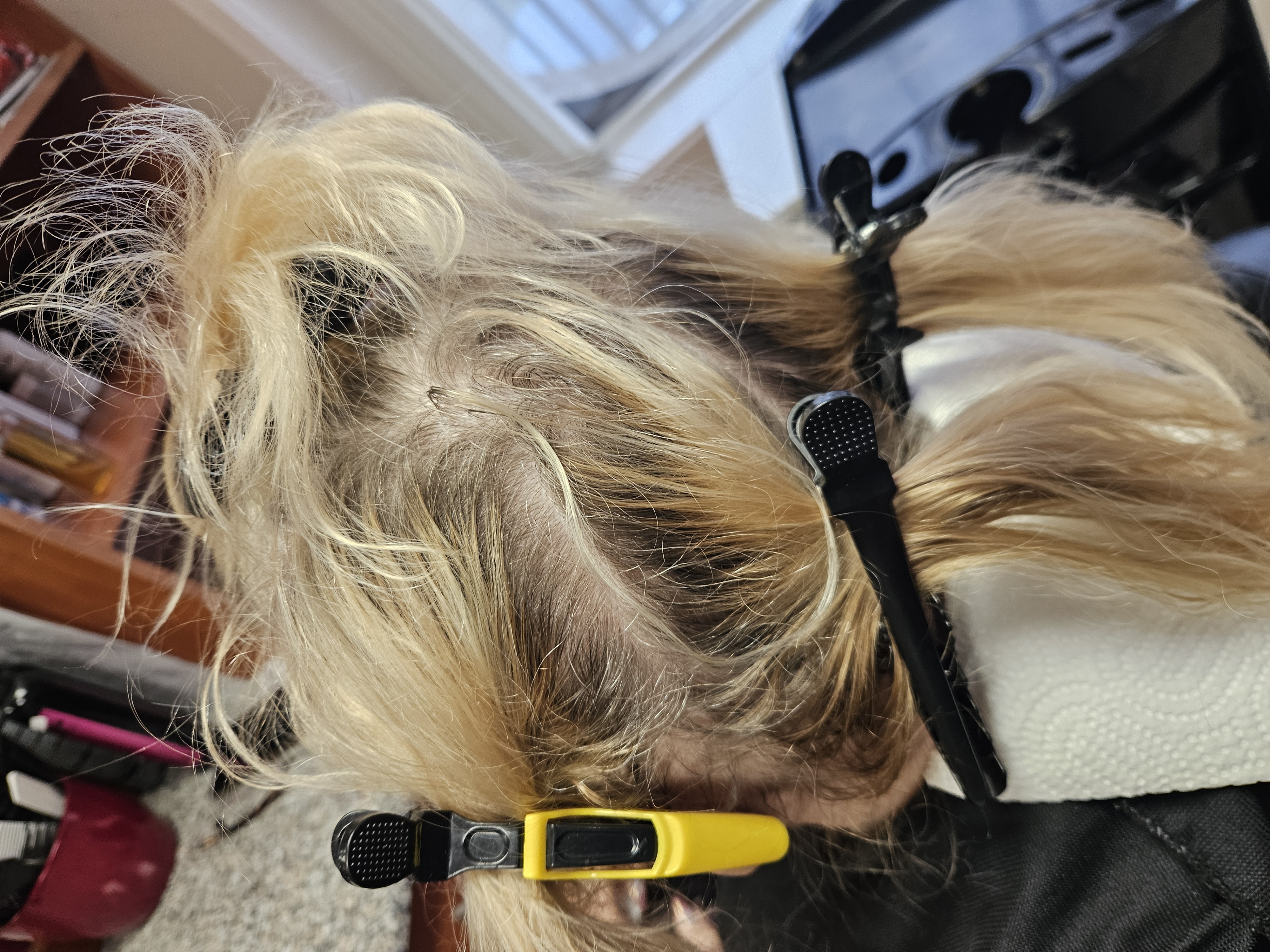 Hair styling result 6